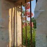 Chateau Canteloup Dom wakacyjny