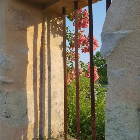 Chateau Canteloup Couette-café