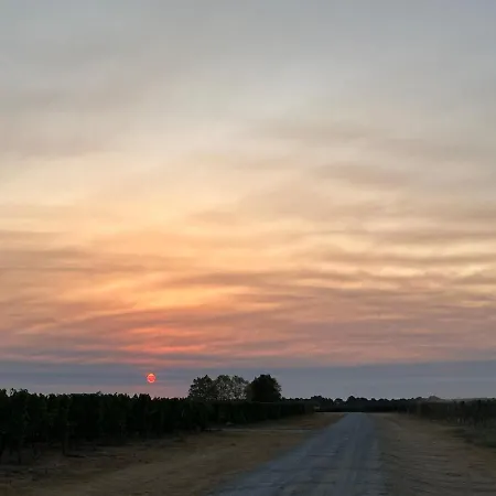 Chateau Canteloup * Saint-Caprais-de-Bordeaux