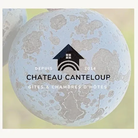 Chateau Canteloup