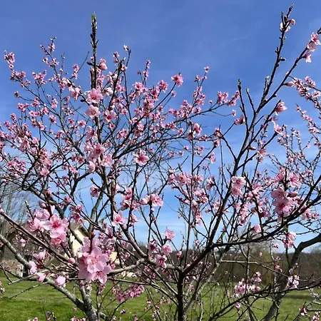 別荘 Chateau Canteloup *