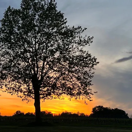 Chateau Canteloup 펜션 *