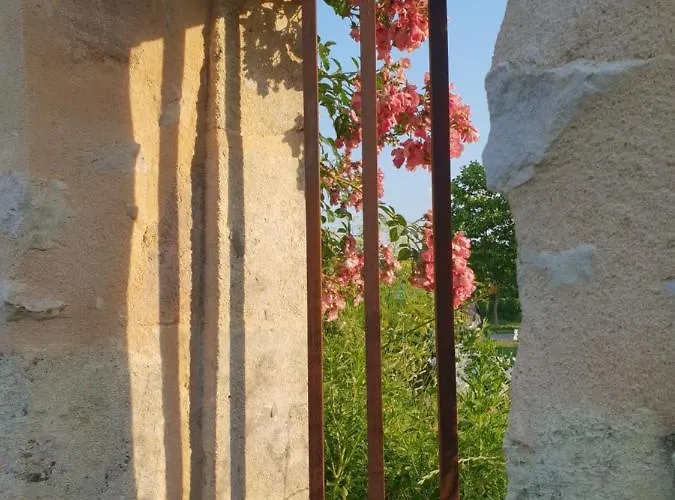 Chateau Canteloup Prázdninový dům