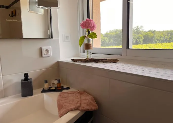 Chateau Canteloup Dom wakacyjny Saint-Caprais-de-Bordeaux