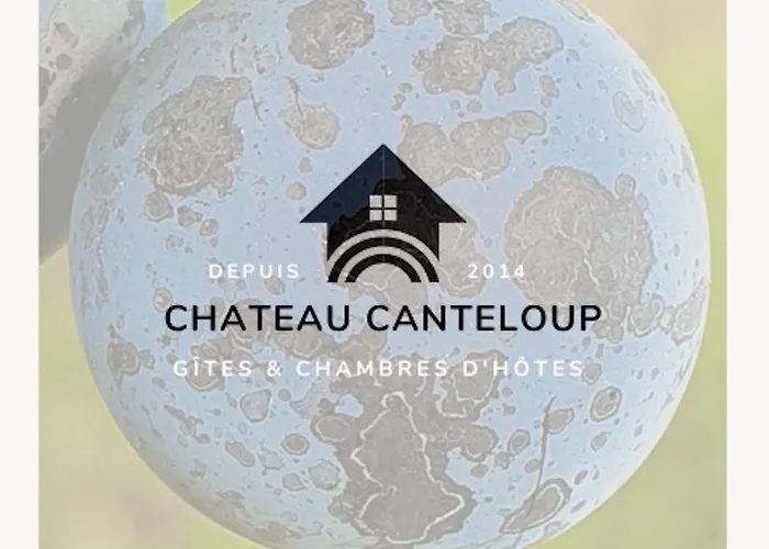 Chateau Canteloup