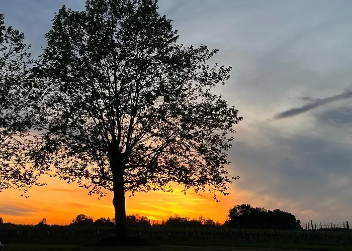 Chateau Canteloup Prázdninový dům *