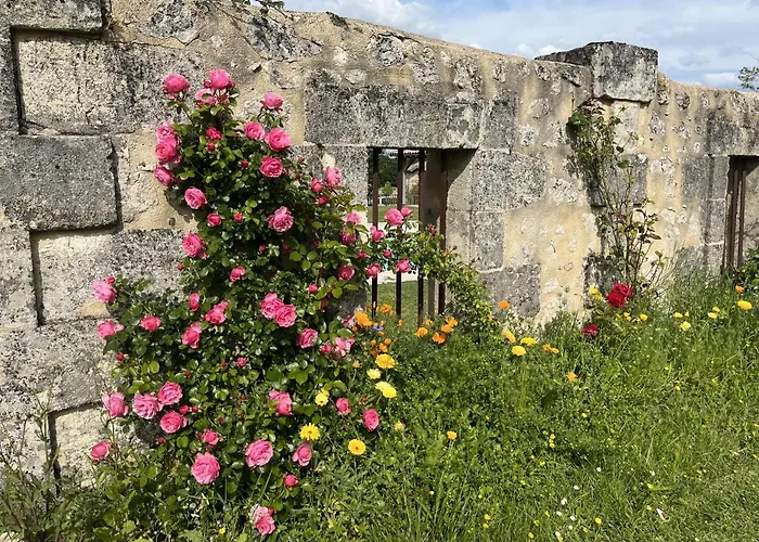 Chateau Canteloup * Saint-Caprais-de-Bordeaux