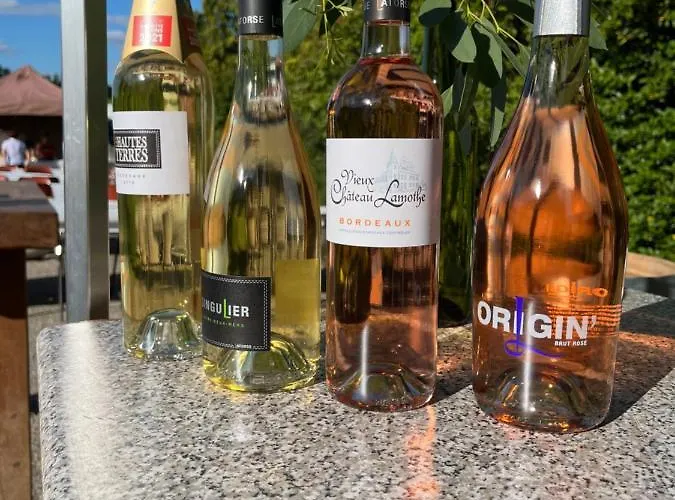 Dom wakacyjny Chateau Canteloup Saint-Caprais-de-Bordeaux